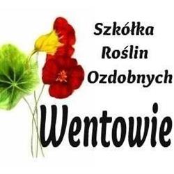 Szkółka Roślin Ozdobnych Wentowie