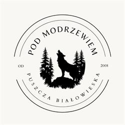 Pod Modrzewiem