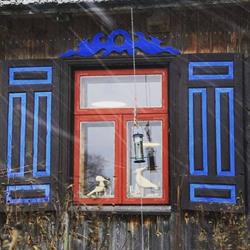 Buda Ruska 16. Agroturystyka i nie tylko