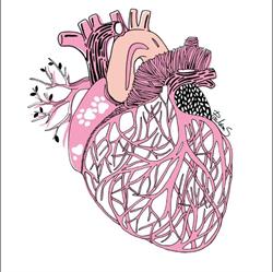 Kardiologia weterynaryjna