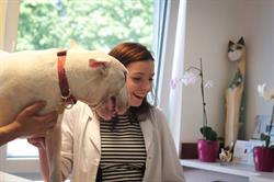 Kardiologia weterynaryjna