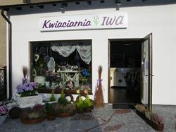 Kwiaciarnia Iwa