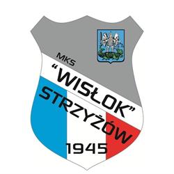 Miejski Stadion Sportowy "Wisłok Strzyżów"