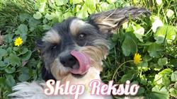"Reksio" Sklep Zoologiczny