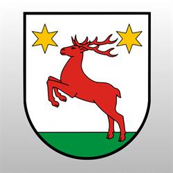 Gmina Łysomice
