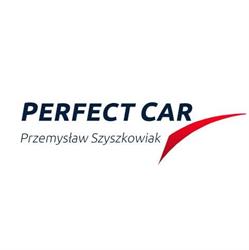 Perfect Car Niepołomice Usuwanie Wgnieceń Naprawa Aut Po Gradobiciu.PDR