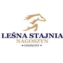 Leśna Stajnia