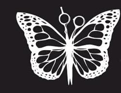 Butterfly studio urody