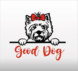 Groomer Good Dog