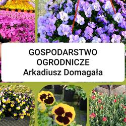 Gospodarstwo ogrodnicze Arkadiusz Domagała