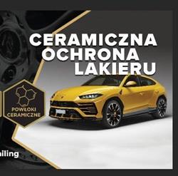 PROfessional Detailing