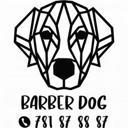 Salon Barber Dog Gniezno