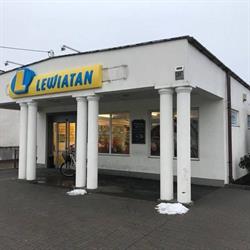 Lewiatan