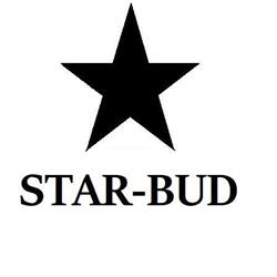 Usługi budowlane STAR-BUD