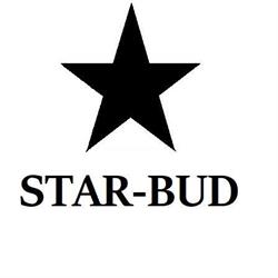 Usługi budowlane STAR-BUD