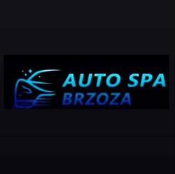 AUTO SPA Brzoza