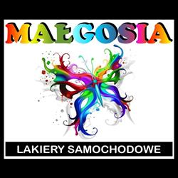 F.H.U Małgosia lakiery samochodowe