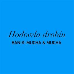 HODOWLA DROBIU ANETA BANIK-MUCHA
