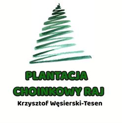 Plantacja Choinkowy Raj