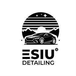 ESIU Detailing Kraków