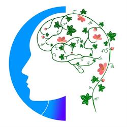 Pracownia Psychoterapii SYSTEMATI - Mateusz Korzekwa