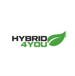 Hybrid4You - Regeneracja Baterii Hybrydowych Serwis Aut Hybrydowych