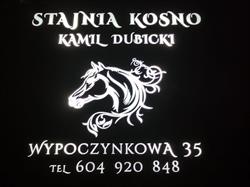 Stajnia Stadnina koni Kosno