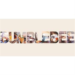 Lodziarnia BumbleBee Ustronie Morskie