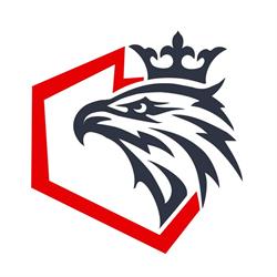 Polska Organizacja Wsparcia Biznesu