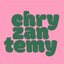 Chryzantemy - produkcja i sprzedaż