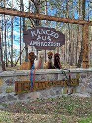 Ranczo u Ambrożego