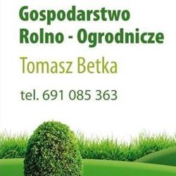 Krzewy ozdobne. Gospodarstwo Rolno-Ogrodnicze Tomasz Betka.