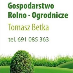 Krzewy ozdobne. Gospodarstwo Rolno-Ogrodnicze Tomasz Betka.