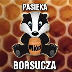 Gospodarstwo Pasieczne "Pasieka Borsucza"