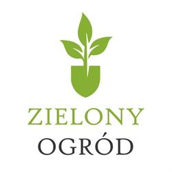 Warzywniak - Zielony ogród Mirosława Napierała