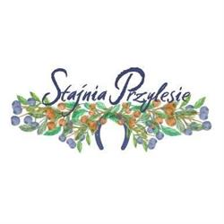 Stajnia Przylesie