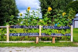 Wilcza Nora