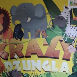 Crazy Dżungla - Sala zabaw dla dzieci