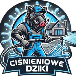 Ciśnieniowe Dziki Usługi mycia ciśnieniowego