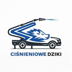 Ciśnieniowe Dziki Usługi mycia ciśnieniowego