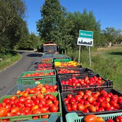 Sklepik Wilkowo