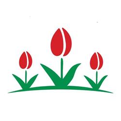 Kwiaciana Polana Kwiaciarnia Ostrowiec Kwiaty Bukiety Kwiaty ostrowiec