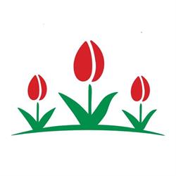 Kwiaciana Polana Kwiaciarnia Ostrowiec Kwiaty Bukiety Kwiaty ostrowiec