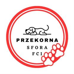 Przekorna Sfora FCI