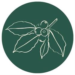MIEJSCE Speciality Coffee & Matcha