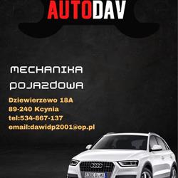 Auto-Dav Dawid Pituła