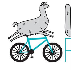 Lama na rowerze