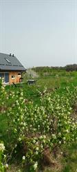 Emma's Berry Farm