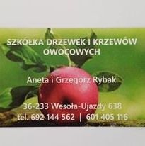 Szkółka drzewek owocowych Grzegorz Rybak