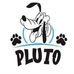 PLUTO salon strzyżenia psów